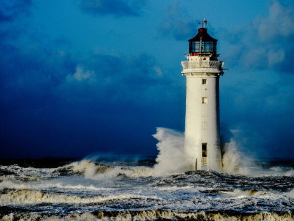 featured_image